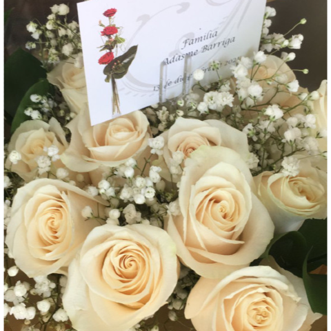 Ramo 12 Rosas Blancas Gypso