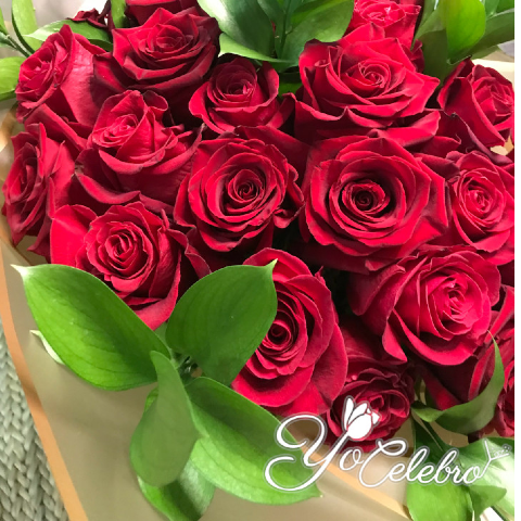 Ramo 24 Rosas Rojas